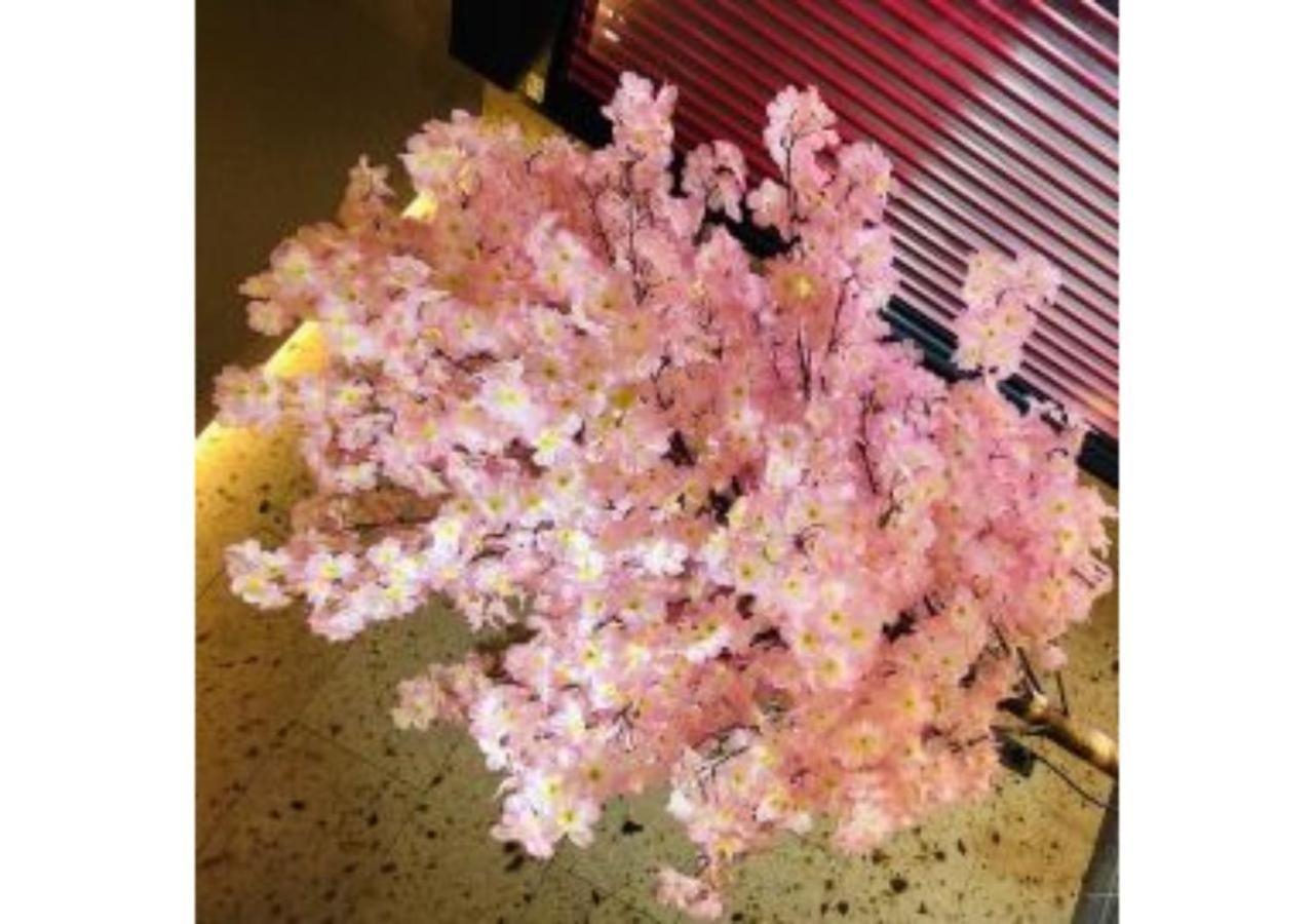 Sakura Sky Hotel - Vacation Stay 18444V 東京都 外观 照片